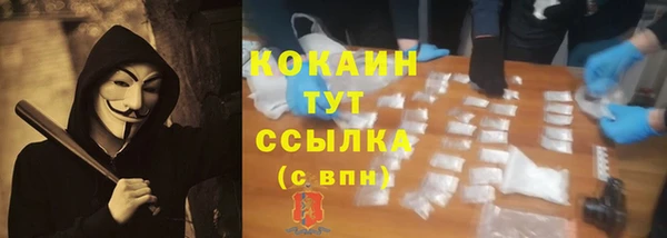 соль курить ск Белокуриха