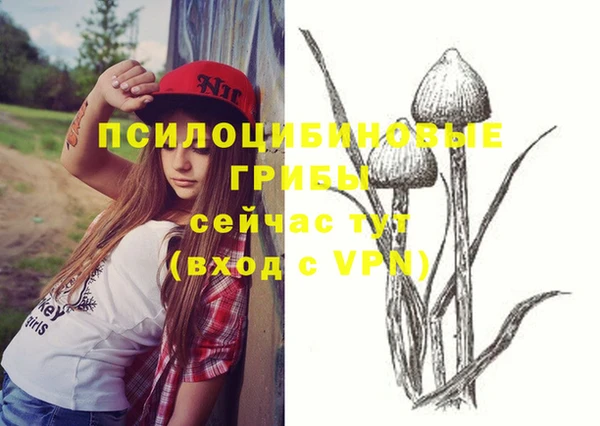 первитин Богородицк